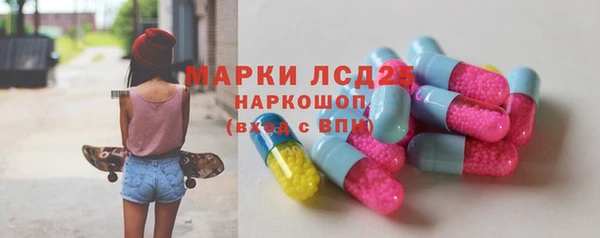 spice Гусев