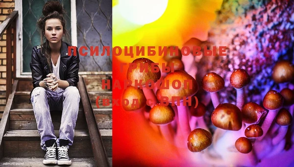 твердый Елизово